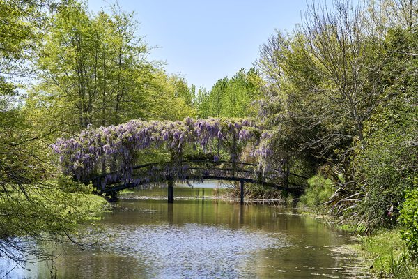 Jardines de Isla El Descanso